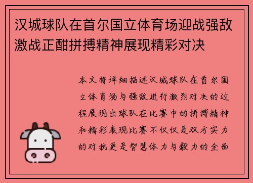 汉城球队在首尔国立体育场迎战强敌激战正酣拼搏精神展现精彩对决
