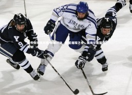 壹号娱乐网页版-巅峰对决，巨星璀璨之夜，赛场华丽篇章再续