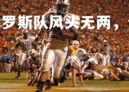 壹号娱乐网页版-俄罗斯队风头无两，包揽冠亚季军三项，俄罗斯战队夺冠